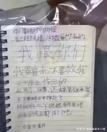 作业害死了多少人学生(作业害死了多少学生)-第1张图片-