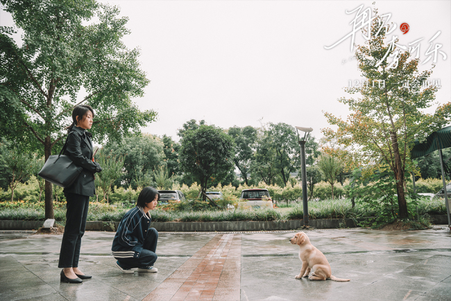 《再见，李可乐》 闫妮谭松韵首次与萌犬合作