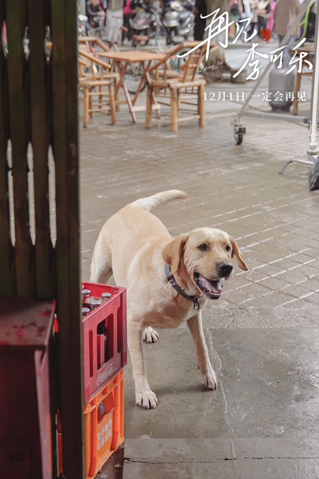 《再见，李可乐》 闫妮谭松韵首次与萌犬合作