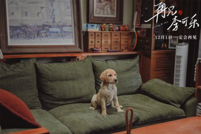 ​《再见，李可乐》 闫妮谭松韵首次与萌犬合作