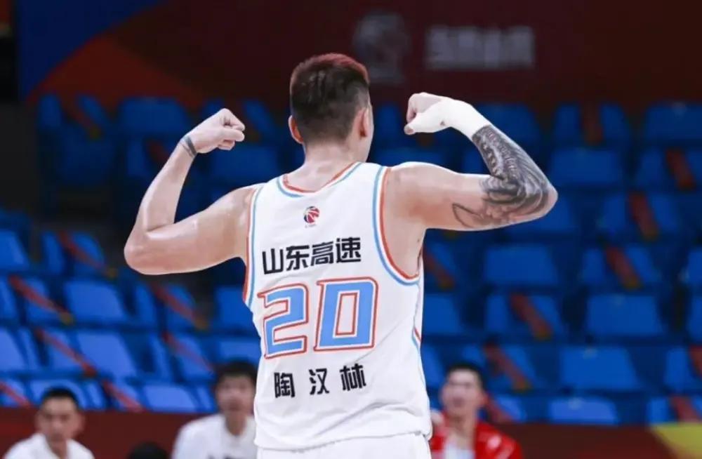 陶汉林和王哲林数据对比，谁更强