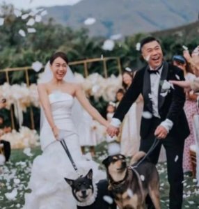 ​黄心颖深夜晒婚礼照幸福洋溢，并未否认怀孕传闻
