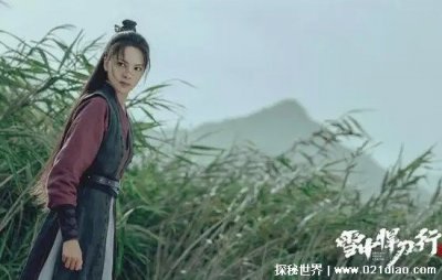 ​雪中悍刀行中的青鸟结局