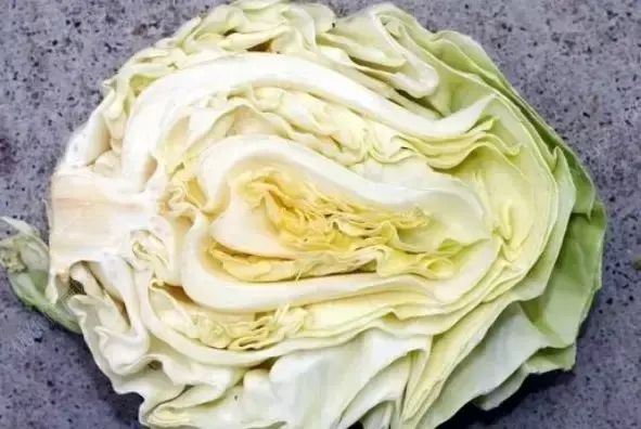 包菜和卷心菜是一种吗(卷心菜和包菜的区别)