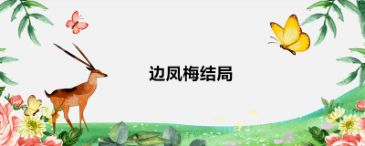 ​边凤梅结局