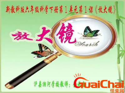 ​大班教案《放大镜》反思怎么写？放大镜教案及反思