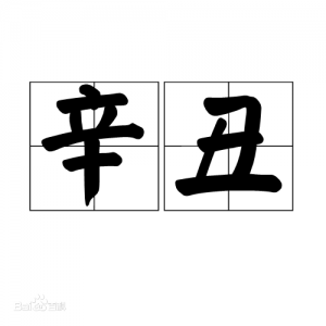 ​辛年有哪些年分别有哪些岁