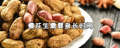 ​煮花生需要多长时间？花生煮多久才能好？