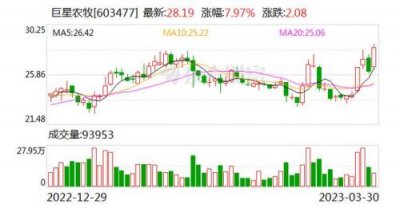 ​华统股份最新消息(华统股份大涨)