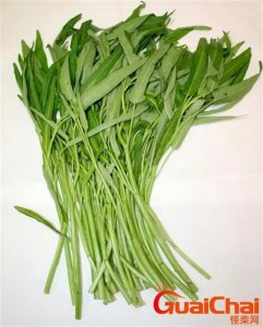 ​蕹菜是什么菜图片 蕹菜是空心菜吗
