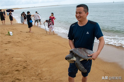 龟头鲤鱼尾的鱼龙、海里的大龟、龙之九子的老大，说的全是“鳌”