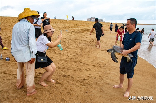 龟头鲤鱼尾的鱼龙、海里的大龟、龙之九子的老大，说的全是“鳌”