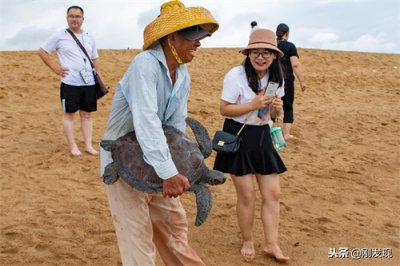 ​龟头鲤鱼尾的鱼龙、海里的大龟、龙之九子的老大，说的全是“鳌”