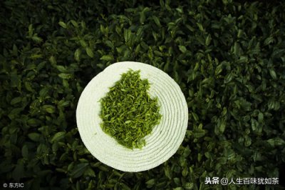 ​龙井茶的功效与作用（减肥降脂  寒凉体质的人群不适合喝龙井茶）