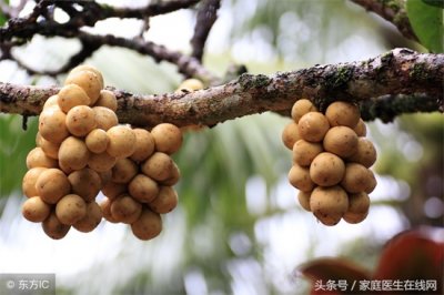 ​黄皮的营养价值 经常吃黄皮，挣来这4大好处