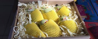 ​芒果在冷藏室两天可以吗 芒果熟了可放冰箱保存4至五天叼