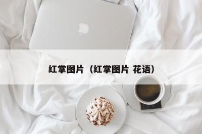 ​红掌图片（红掌图片 花语）