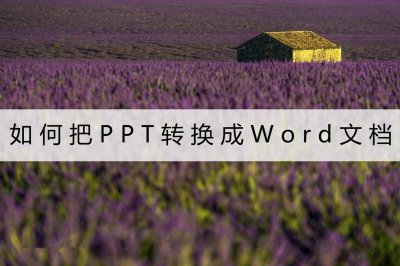 ​把ppt转换成word纯文字怎么办（如何把PPT转换成Word文档？你可以试试这两