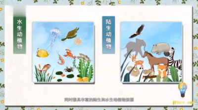 ​湿地又称为地球之 为什么湿地被称为“地球之肾”？