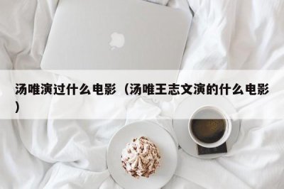 ​汤唯演过什么电影（汤唯王志文演的什么电影）