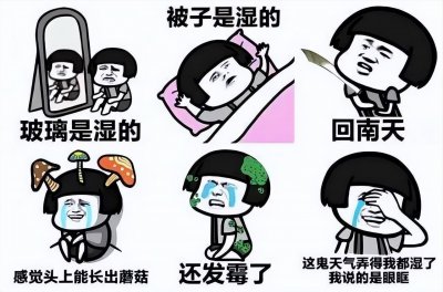 ​除湿机哪个牌子效果最好(家用除湿机什么牌子好？)