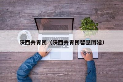 ​陕西共青团（陕西共青团智慧团建）