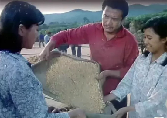 80年代老电影有哪些片子（盘点3部经典80年代老电影）
