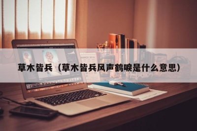 ​草木皆兵（草木皆兵风声鹤唳是什么意思）