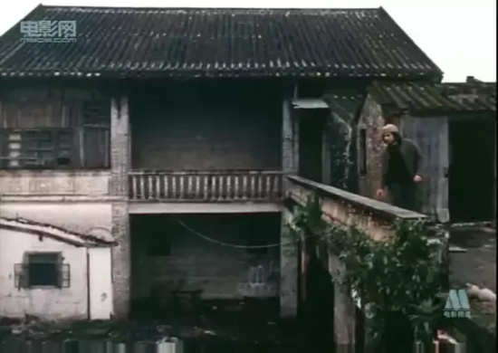香港恐怖老电影有哪些（盘点香港经典老恐怖片）