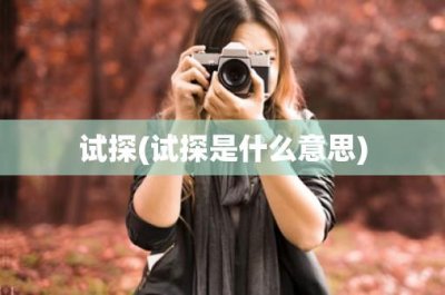 ​试探(试探是什么意思)