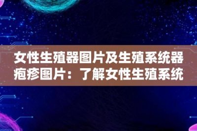 ​女性生殖器图片及生殖系统器疱疹图片：了解女性生殖系统及疱疹病毒的相关知识