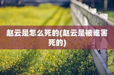 ​赵云是怎么死的(赵云是被谁害死的)
