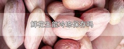 ​新鲜花生可以冷冻储藏吗 新鲜的花生可以冷冻保存吗