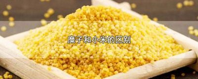​糜子米和小米哪个营养价值高 小米是糜子还是谷子