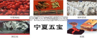 ​宁夏五宝都是啥 宁夏五宝指的是什么