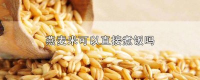 ​燕麦米能单独煮米饭吗减肥 燕麦米能单独煮米饭吗怎么煮