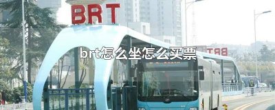 ​武汉brt1怎么买票 乘坐武汉brt如何付钱