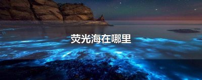 ​哪有荧光海滩 哪里可以看到荧光海