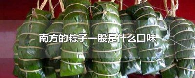​南北方吃粽子的差异 南北方的粽子有什么不一样
