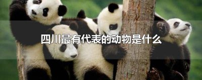 ​四川主要动物 四川有多少种动物