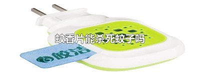 ​蚊香片能不能杀死蚊子 蚊香片会杀死蚊子吗