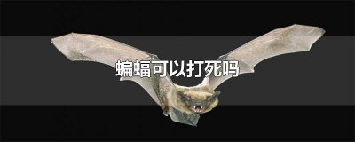 ​打死一个蝙蝠会有蝙蝠来报仇吗 把蝙蝠打死了