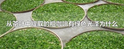 ​从茶叶中提取粗咖啡有绿色光泽,为什么 从茶叶中提取咖啡有绿色光泽为什么