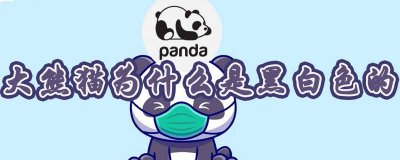 ​大熊猫为什么是黑白色的准确答案 大熊猫为什么是黑白色的传说