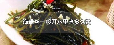 ​海带丝需要煮多久才熟 海带丝水煮多长时间