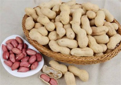 ​老年痴呆症食疗方法大全[老年痴呆症食疗方法有哪些]