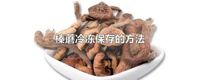 ​榛蘑怎么冷冻保存不会坏 榛蘑怎样保存