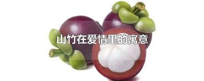 ​竹代表了什么象征意义 山竹水果寓意是什么