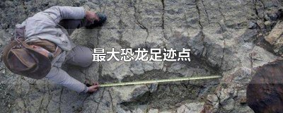 ​在哪发现巨大恐龙足迹 小恐龙足迹