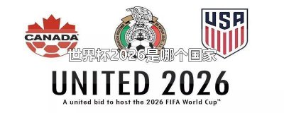 ​世界杯 伊朗 美国 世界杯 韩国队